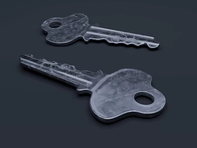Close Up View Of Two Metal Keys With Textured Surface On Dark Background 3d model