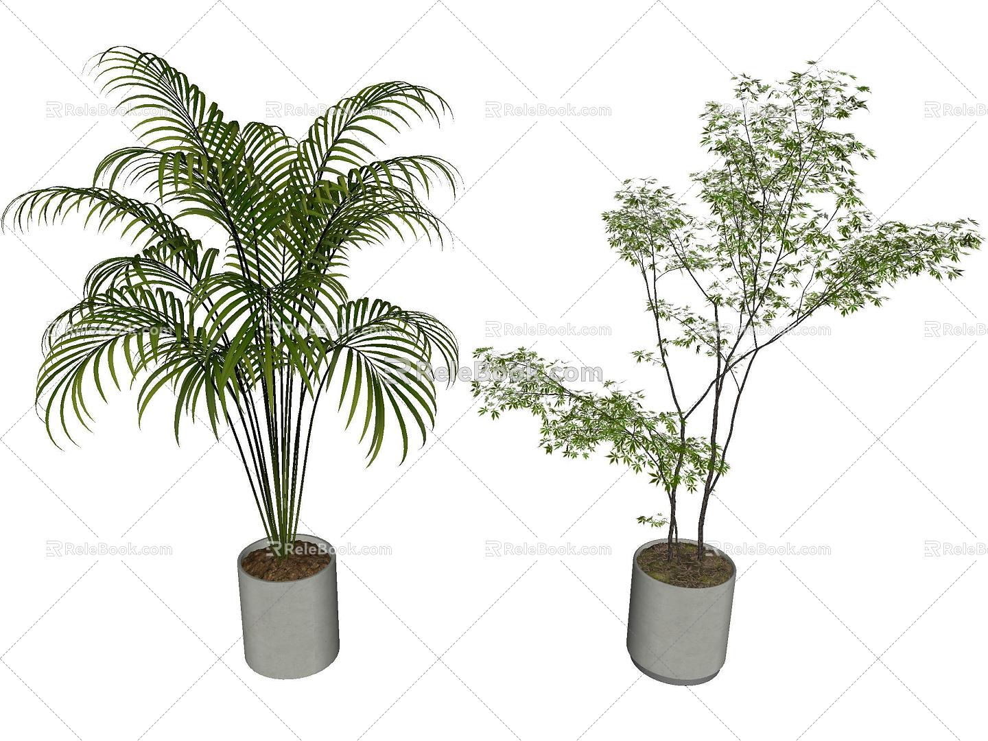 indoor potted plant 3d model