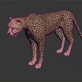 Modern leopard wild leopard cheetah mountain leopard 3d model