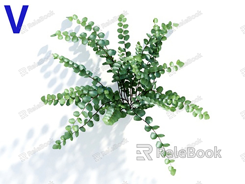 Modern tall kidney fern model