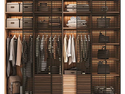 Modern Wooden Wardrobe Interior Design With Hanging Clothes Drawers Storage Boxes And Shelves 3d model