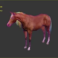 Brown Horse With Golden Mane Standing On Black Background And White Hooves