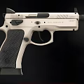 Silver And Black Pistol With Textured Grip Trigger And Magazine Details