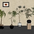 Middle ancient style potted plant 3d model