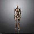 Humanoid Robot With Mechanical Body And Internal Biological Organs Standing In Gray Background