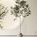 Two Bonsai Plants In Beige Pots With Metal Stands Near Round Mirror Modern White Interior