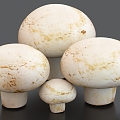 White Mushroom Buttons Mushroom Vegetables 3d model