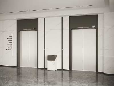 Modern 1F Elevator Lobby With White Marble Walls And Door Design 3d model
