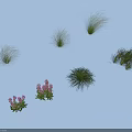 Various Types of Flowers and Grasses with Pink Blooms on Light Blue Background