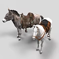 Gray Donkey and White Horse Standing with Leather Saddles and Harnesses