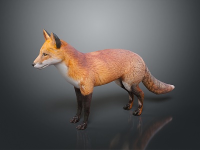 Fox Cartoon Fox Small Fox Cartoon Characters Cartoon Animals Cartoon Small Animals Game Characters model