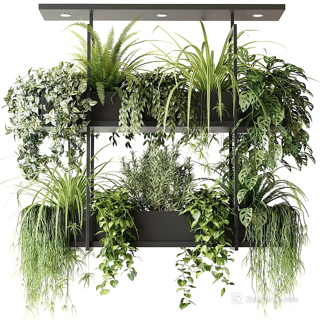 Tiered Black Plant Shelf With Various Green Plants And Hanging Vines 3d model 