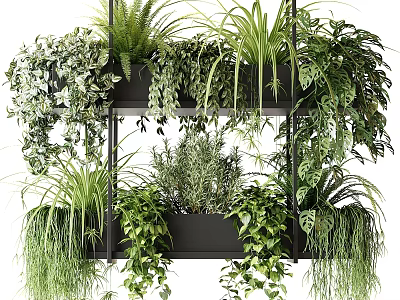 Tiered Black Plant Shelf With Various Green Plants And Hanging Vines 3d model