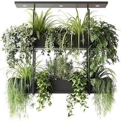 Tiered Black Plant Shelf With Various Green Plants And Hanging Vines 3d model