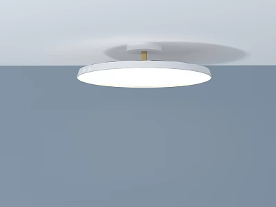Modern Minimalist Round White Chandelier Ceiling Mounted Interior Lighting Fixture 3d model