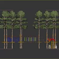 Outdoor Play Area With Pine Trees Green Surface Climbing Structures And Colorful Equipment