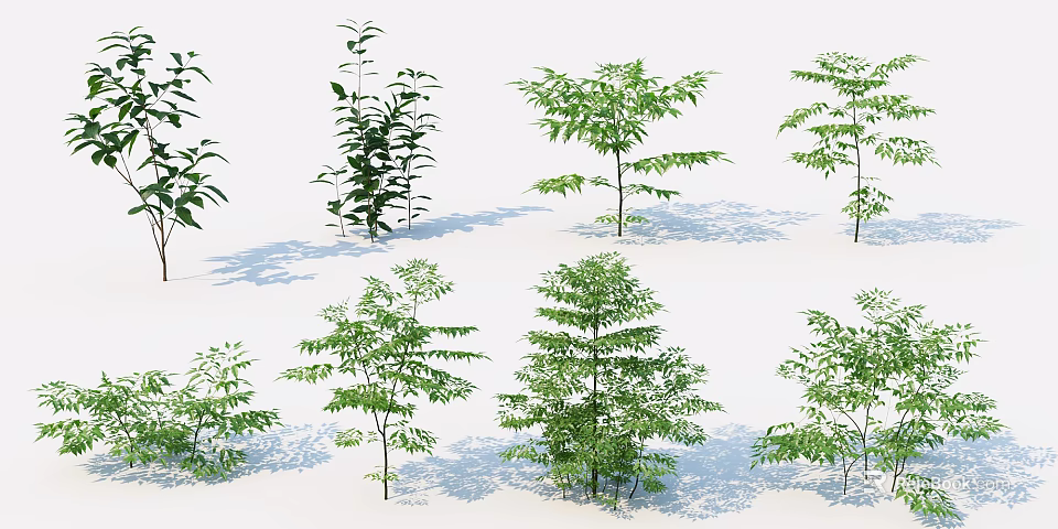 Green Shrubs with Various Forms Different Heights and Leaf Shapes on White Background with Shadows 3d model