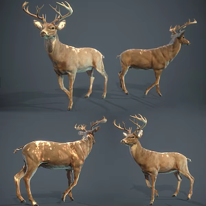 modern deer animal deer 3d model