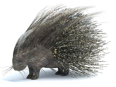 Spiny Reptile With Sharp Quills In Natural Wild Habitat Environment 3d model Spiny Reptile With Sharp Quills In Natural Wild Habitat Environment 3d model