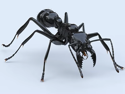 Detailed Black Ant Sculpture with Realistic Body Features and Sharp Mandibles 3d model