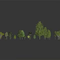 Diverse Green Plants Collection Featuring Different Tree Sizes And Types 3d model