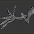 Skeletal Hand Bone Structure 3D Rendered Model with Sharp Claws and Detailed Phalanges on Dark Background