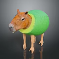 Adorable Capybara Wearing Green Avocado Shell Looking Funny In Studio Shot