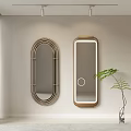 Elegant Oval And Rectangular Wall Mirrors With Gold Metal And Wooden Frames And Green Plant