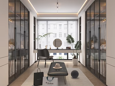 Modern Walk In Closet Interior With Glass Cabinets Desk And Plants 3d model