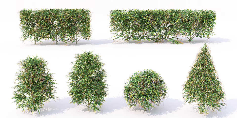 Various Shaped Garden Bushes With Lush Green Foliage And Natural Growth 3d model 