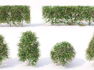 Various Shaped Garden Bushes With Lush Green Foliage And Natural Growth 3d model
