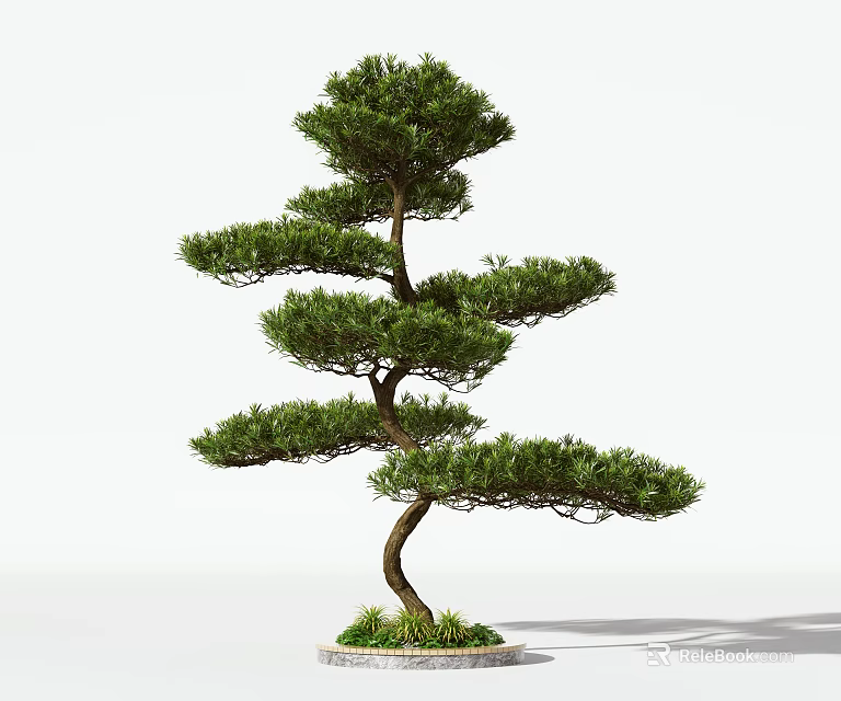 Decorative Arbor Tree with Curved Trunk and Layered Green Branches 3d model 