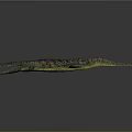 Crocodile 3D Model With Spotted Skin Open Mouth Lying On Dark Background