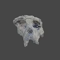 Detailed Textured Skull Model With Cracked Surface And Blue Spots