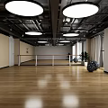 Spacious Bright Fitness Studio With Equipment And Plants