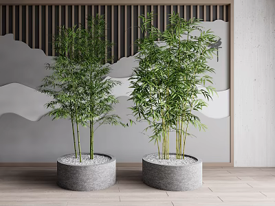 Lush Bamboo Plants In Round Gray Pots With White Pebbles And Wooden Slat Background 3d model