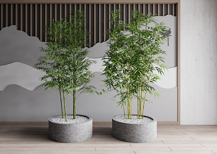 Modern bamboo potted plant 3d model