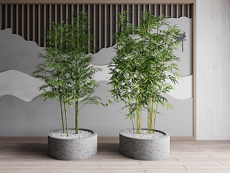 Modern bamboo potted plant 3d model