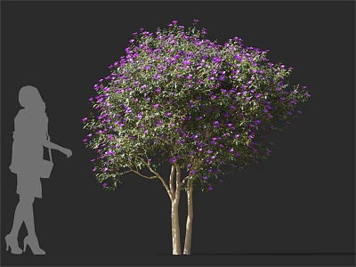 Lush Purple Flowering Tree with Multiple Trunks and Woman Silhouette 3d model