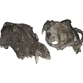 Animal Skull Wall Decor Natural Vintage Primitive Home Living Room Art