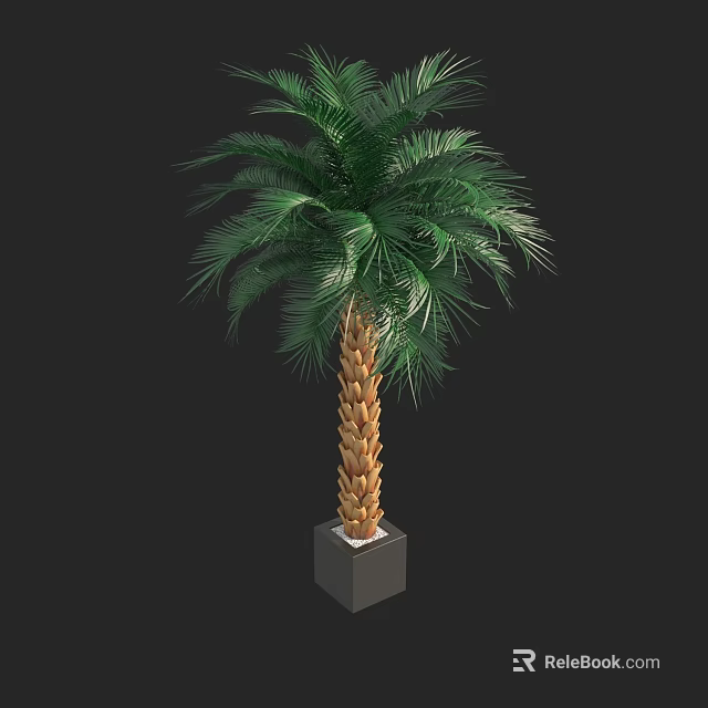 Lush Green Palm Bonsai Potted Plant With Brown Trunk And Square Gray Pot 3d model 