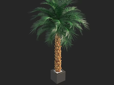 Lush Green Palm Bonsai Potted Plant With Brown Trunk And Square Gray Pot 3d model