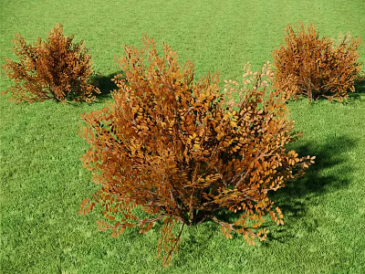 Brown Shrubs with Orange Brown Leaves Growing in Green Grass Field 3d model