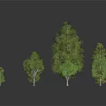 Diverse Green Plants Collection Featuring Different Tree Sizes And Types 3d model
