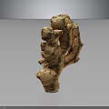 Fresh Whole Ginger Root With Natural Bumpy Texture And Brown Skin