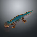 Lizard Anime Lizard Cartoon Lizard Reptile Cold Blooded Animal Reptile 3d model