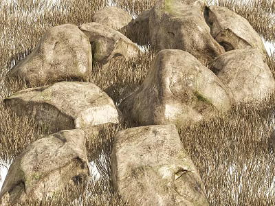 Natural Stone And Wood Elements In Dry Grass Outdoor Landscape 3d model