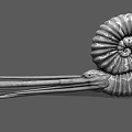 Aquatic Animal Ammonite With Spiral Shell And Long Tentacles 3D Model Structure 3d model