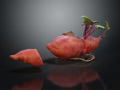 Whole Sweet Potatoes With Green Leaves Roots And Sliced Piece On Dark Background 3d model