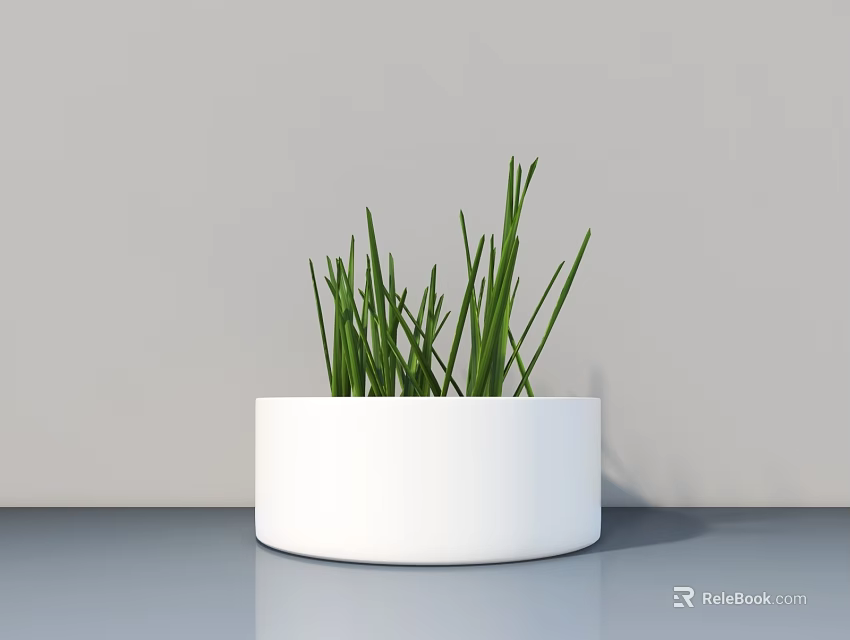 Bonsai Potted Plant With White Round Pot Green Slender Grass Modern Minimalist Light Grey Wall 3d model 